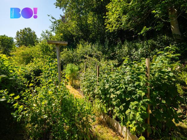 Prodej chalupy, Kájov - Staré Dobrkovice, 120 m2