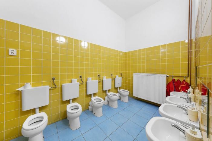 Prodej činžovního domu, Litoměřice - Předměstí, Palackého, 798 m2