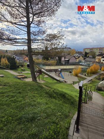 Pronájem bytu 1+kk, Bílovec, Radotínská, 25 m2