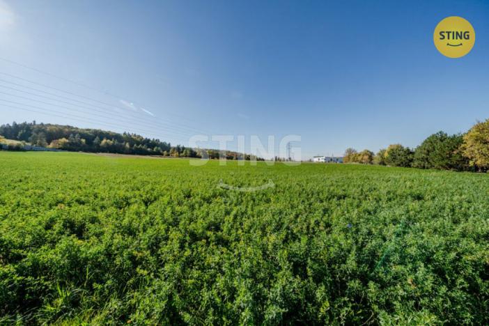 Prodej pozemku pro bydlení, Mokré Lazce, 4000 m2