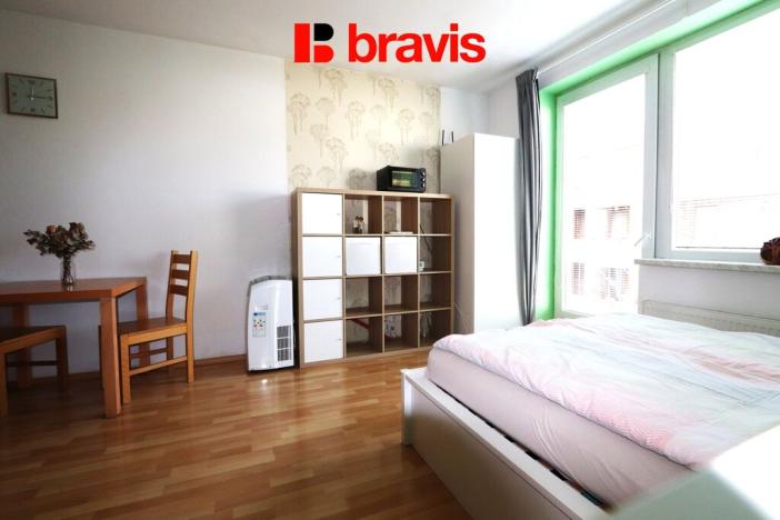 Pronájem bytu 1+kk, Brno - Starý Lískovec, U Leskavy, 33 m2