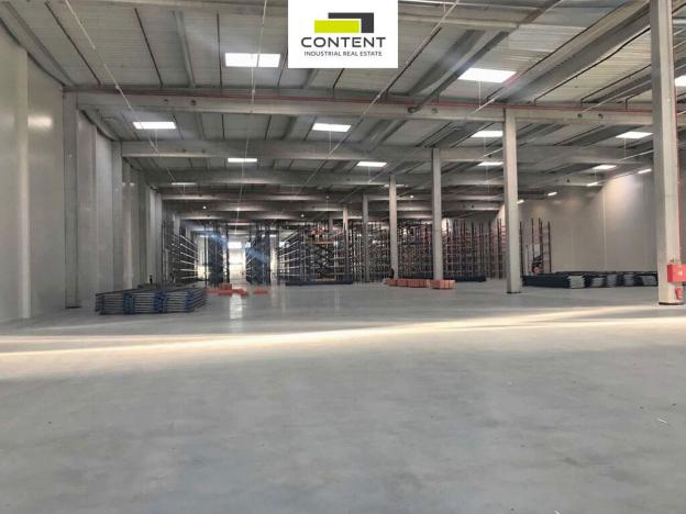 Pronájem výrobních prostor, Kozomín, 3800 m2