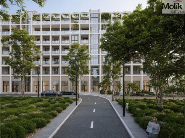 Prodej bytu 2+kk, Golem, 100 m2