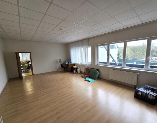 Pronájem výrobních prostor, Brno, Franzova, 785 m2