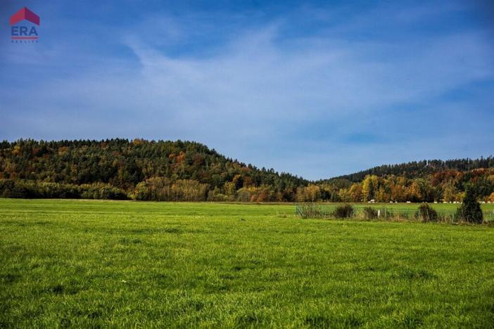 Prodej pozemku pro bydlení, Křižany, 1506 m2