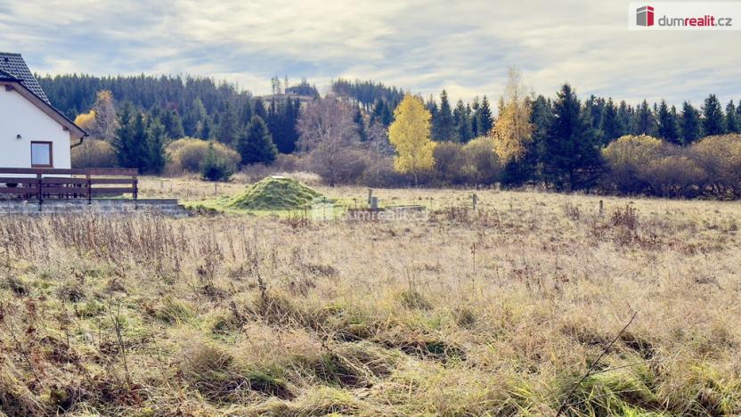 Prodej komerčního pozemku, Abertamy, Plešivecká, 836 m2