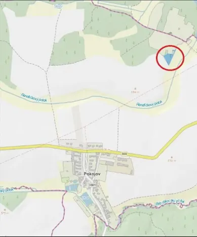 Prodej lesa, Pokojov, 3182 m2