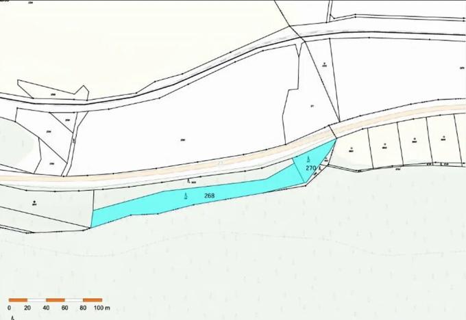 Prodej lesa, Vladislav, 4743 m2