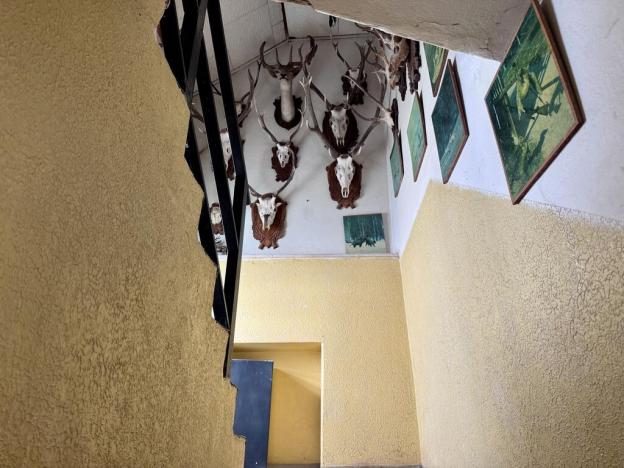 Pronájem rodinného domu, Praha - Ruzyně, Kralupská, 50 m2