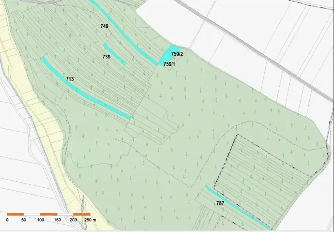 Prodej lesa, Dolní Vilémovice, 9629 m2