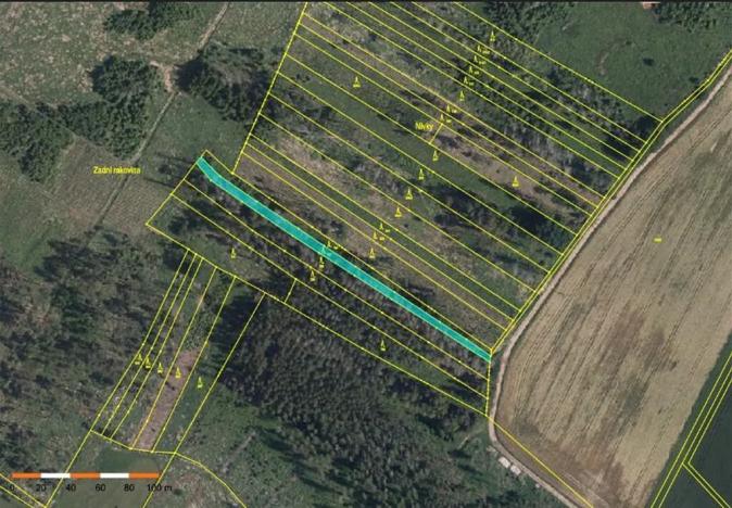 Prodej lesa, Dolní Vilémovice, 9629 m2