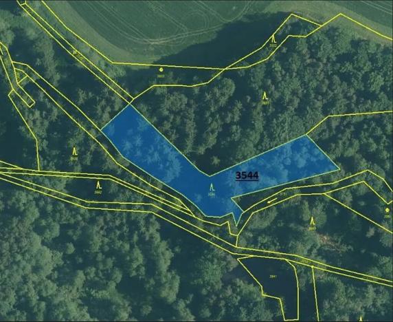 Prodej lesa, Člunek, 3295 m2