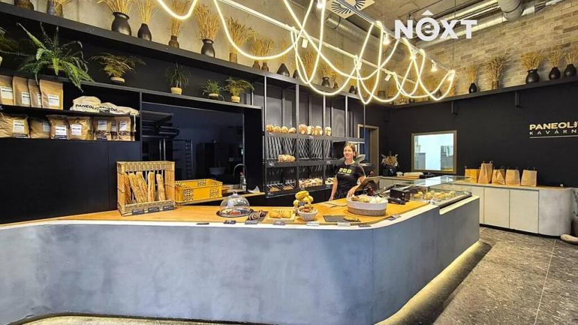 Pronájem bytu 1+kk, Brno, Bratislavská, 37 m2