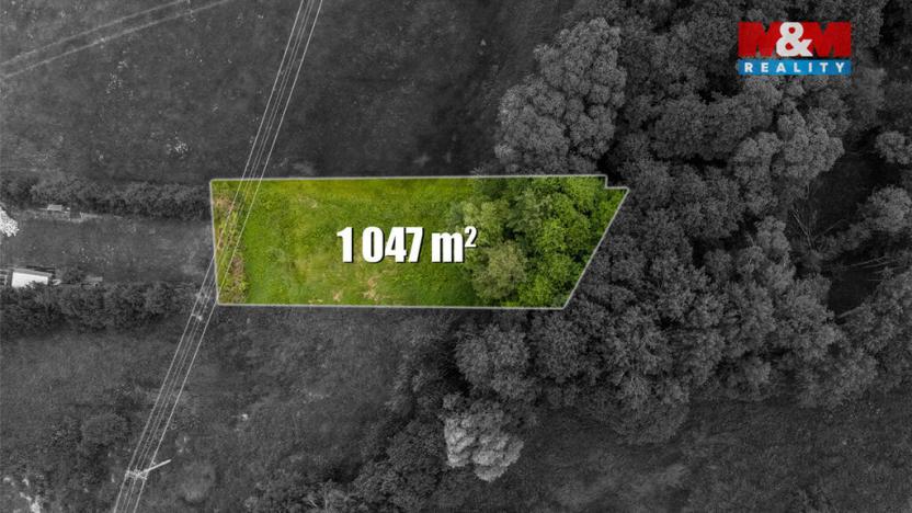 Prodej louky, Dětřichov, 4178 m2