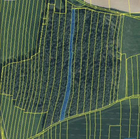 Prodej lesa, Srbice - Těšovice, 3279 m2
