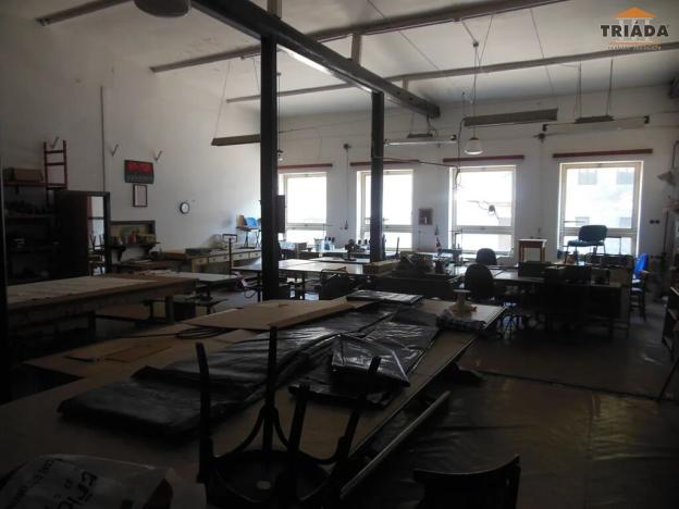 Prodej výrobních prostor, Stružinec, 10029 m2