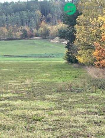 Prodej pozemku pro bydlení, Dolany - Svrčovec, 882 m2