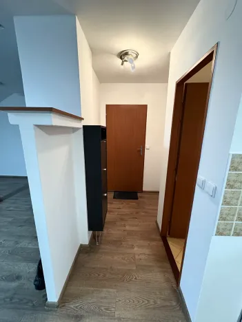 Pronájem bytu 1+kk, Karviná, Fryštátská, 48 m2