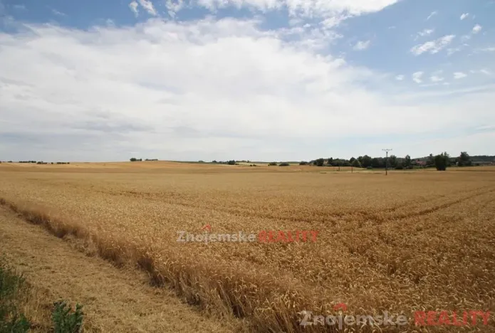 Prodej pole, Blanné, 24000 m2