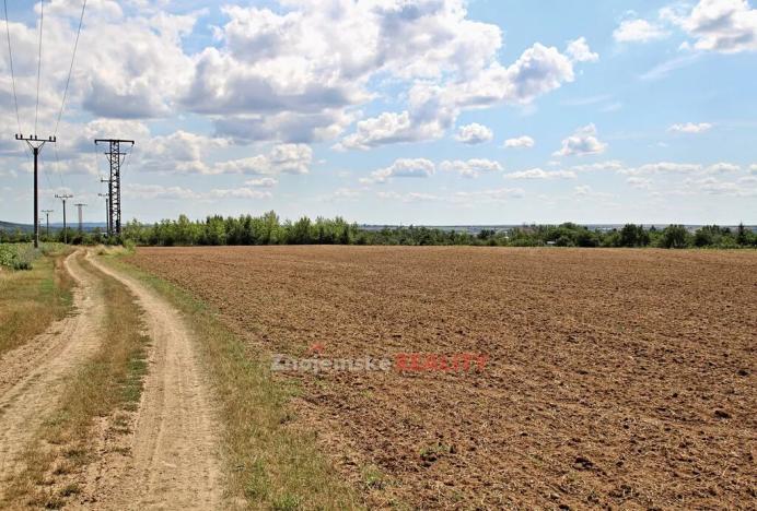 Prodej komerčního pozemku, Dobšice, 19700 m2