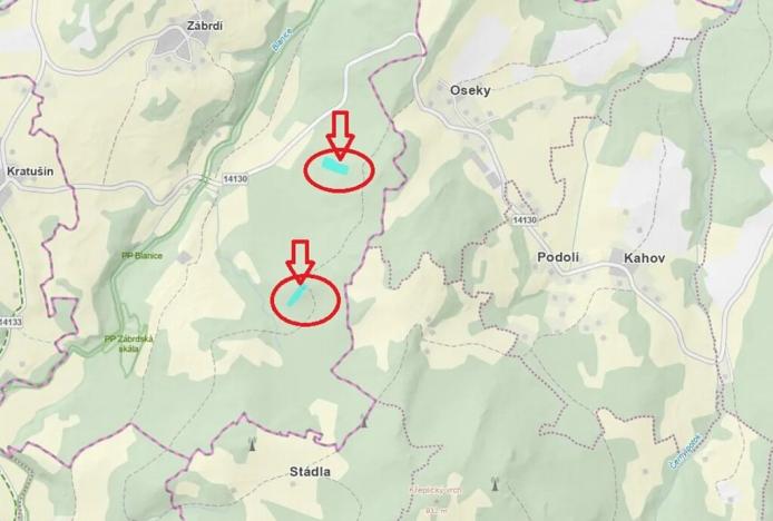 Prodej lesa, Zábrdí, 9676 m2