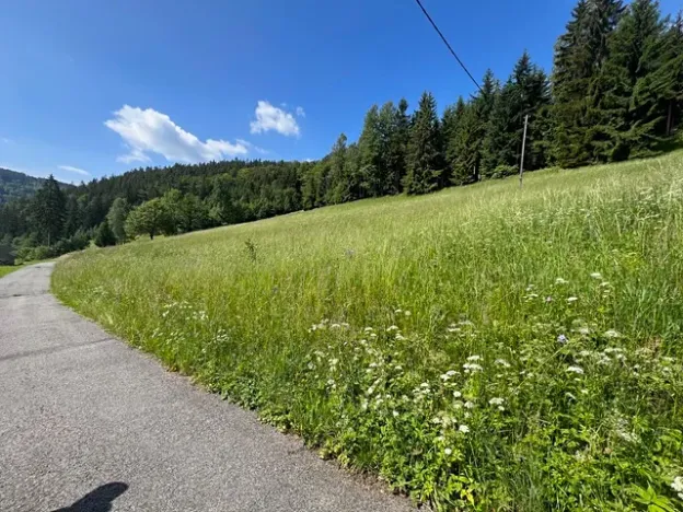 Prodej louky, Jablonec nad Jizerou, 12774 m2