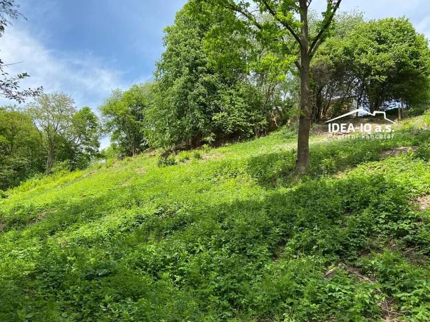 Prodej zahrady, Pelhřimov, K Jezu, 886 m2