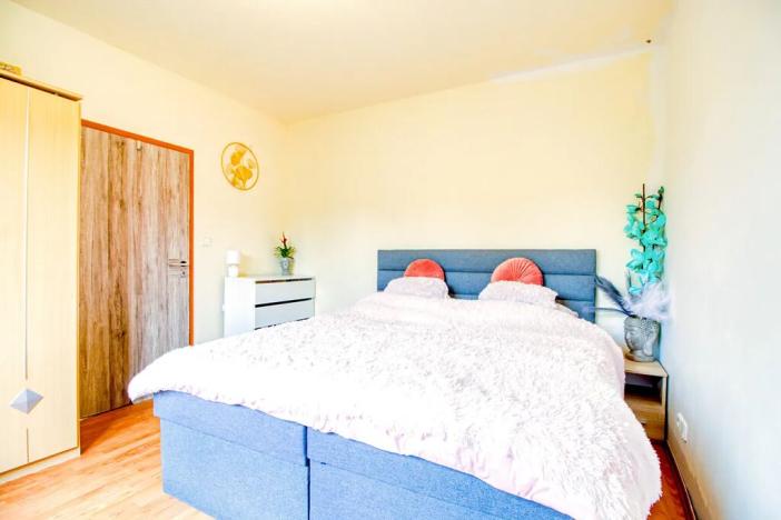 Prodej rodinného domu, Nepřevázka, 252 m2