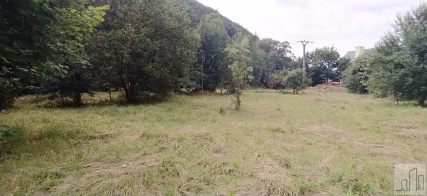 Prodej pozemku pro bydlení, Hanušovice, 3222 m2