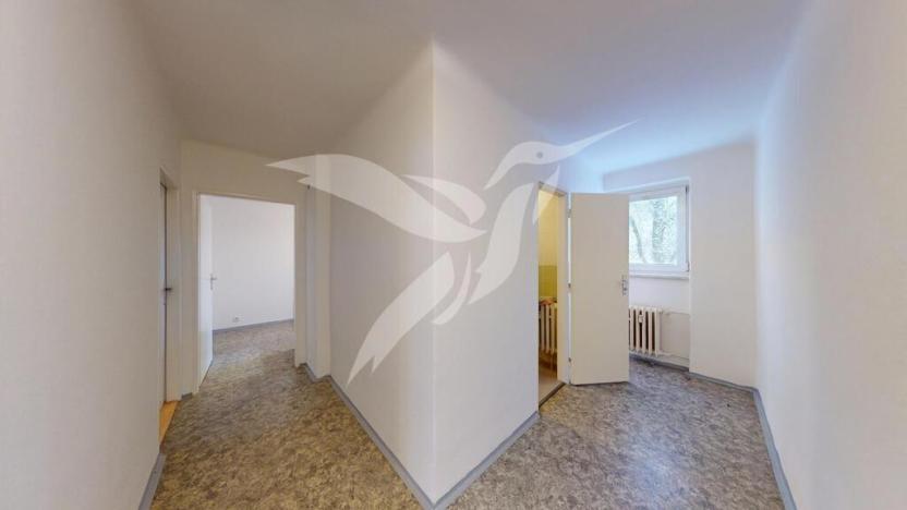 Pronájem bytu 2+1, Plzeň, Zikmunda Wintra, 62 m2