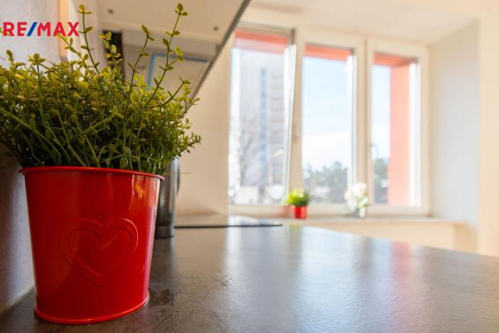 Prodej bytu 2+1, Hradec Králové - Pražské Předměstí, Haškova, 57 m2