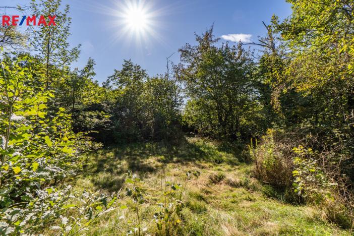 Prodej chaty, Přestavlky u Čerčan, 40 m2