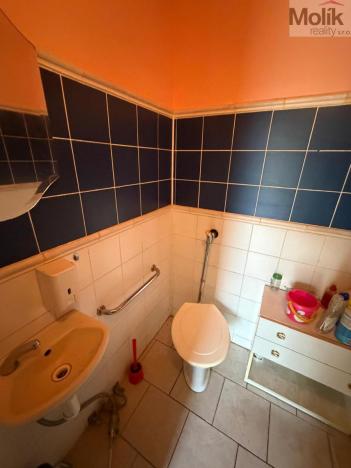 Prodej restaurace, Libčeves, Příčná, 125 m2