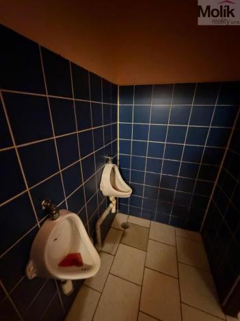 Prodej restaurace, Libčeves, Příčná, 125 m2