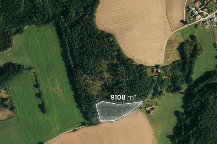 Prodej lesa, Hluboká nad Vltavou - Kostelec, 18716 m2