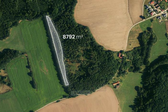 Prodej lesa, Hluboká nad Vltavou - Kostelec, 18716 m2