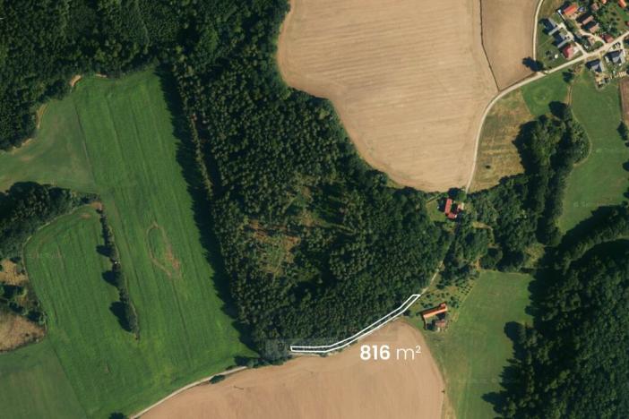 Prodej lesa, Hluboká nad Vltavou - Kostelec, 18716 m2