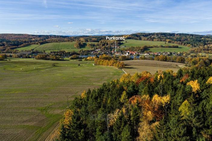 Prodej lesa, Hluboká nad Vltavou - Kostelec, 18716 m2