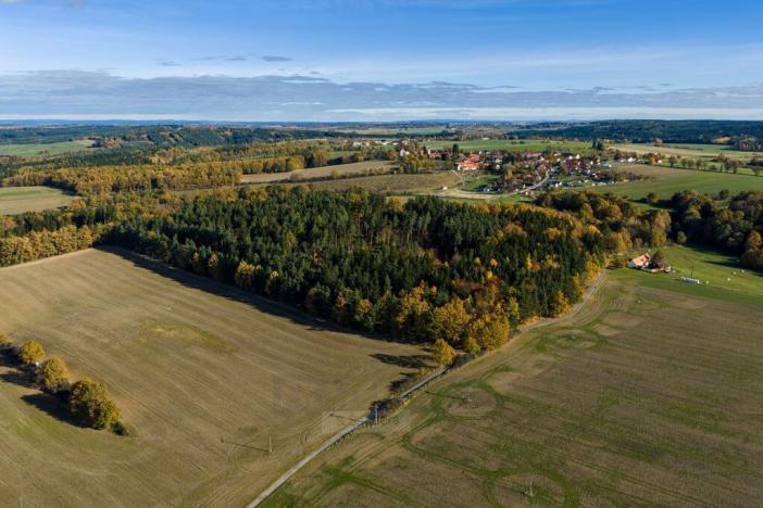 Prodej lesa, Hluboká nad Vltavou - Kostelec, 18716 m2