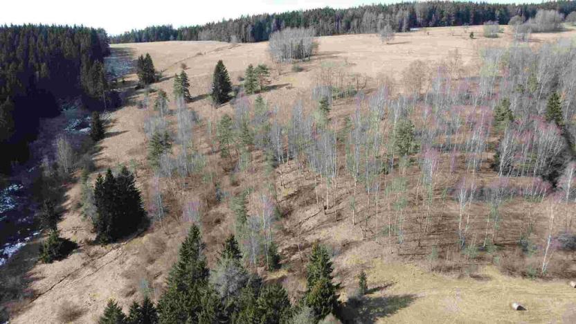 Prodej pole, Kraslice, 3869 m2