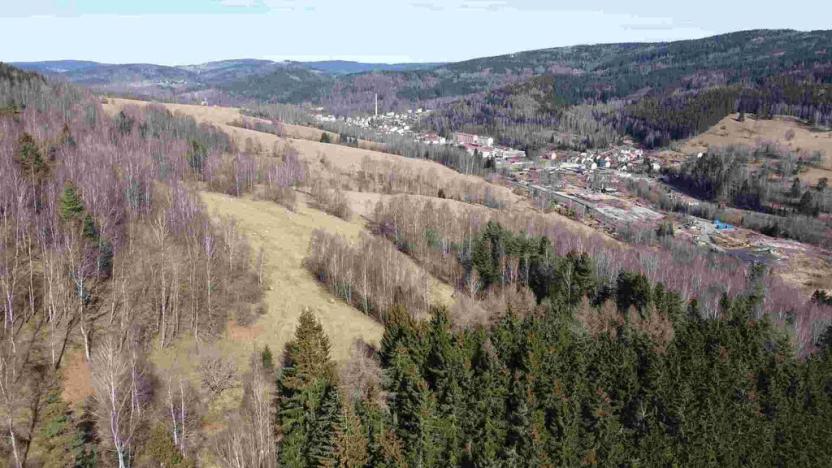 Prodej pole, Kraslice, 3869 m2