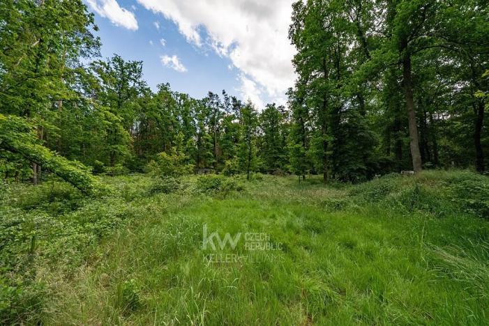 Prodej pozemku pro bydlení, Hradištko, Kersko, 3143 m2