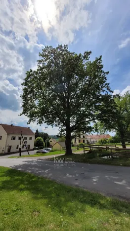 Prodej domu, Skapce, 800 m2