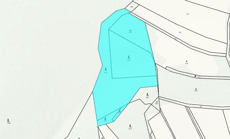 Prodej lesa, Drozdov, 11901 m2