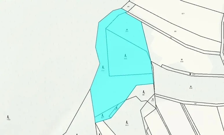 Prodej lesa, Drozdov, 11901 m2