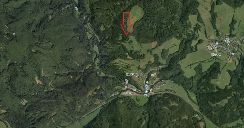 Prodej lesa, Drozdov, 11901 m2