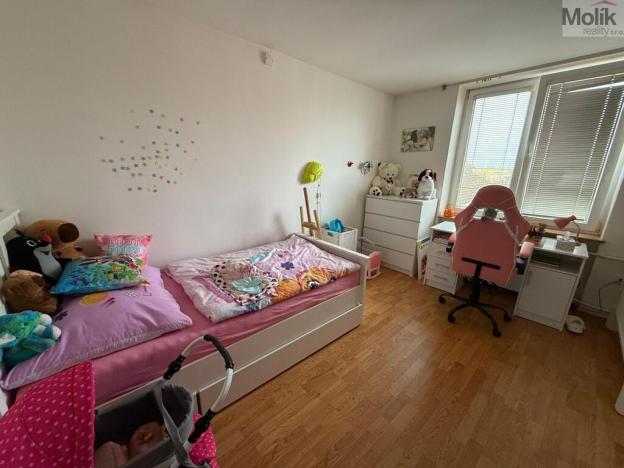 Pronájem bytu 3+1, Most, Maxe Švabinského, 54 m2