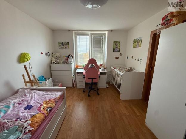 Pronájem bytu 3+1, Most, Maxe Švabinského, 54 m2