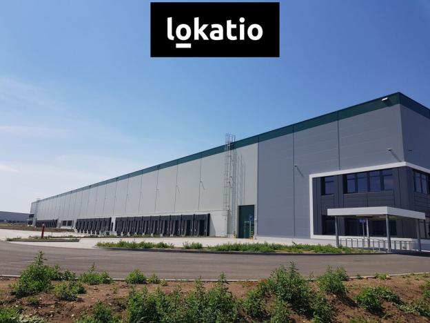Pronájem skladu, Úžice, 5667 m2