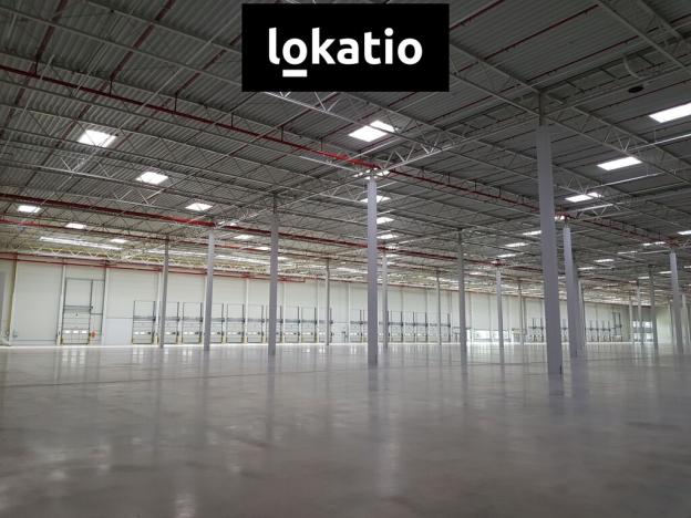 Pronájem skladu, Úžice, 5667 m2
